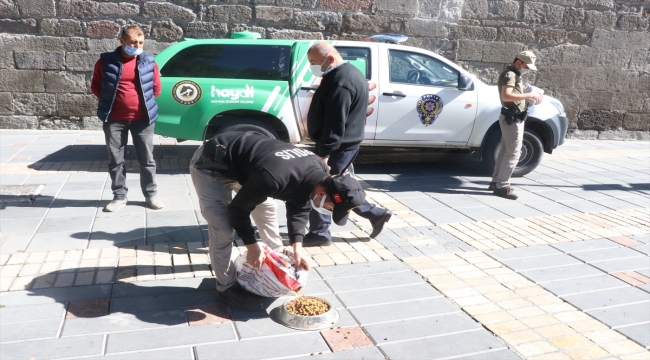 Kayseri'de polis ekiplerinden sokak hayvanlarına yem ve mama desteği