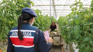 Kırşehir'de jandarma ekipleri kadınlara KADES'i anlattı