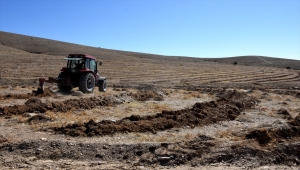 Kırşehir'de Milli Ağaçlandırma Günü kapsamında 729 bin fidan dikilecek
