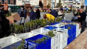 Kırşehir'de sonbaharda 10 bin fidan dağıtılacak