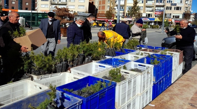 Kırşehir'de sonbaharda 10 bin fidan dağıtılacak