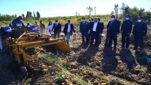 Kırşehir Valisi Akın, öğrencilerin uygulama bahçesinde patates hasadına katıldı 