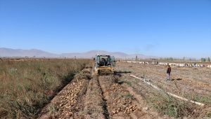 Patates deposu Niğde ve Nevşehir'de çiftçiler kaliteden de fiyattan da memnun