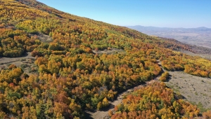 Sivas'ın saklı güzellikleri keşfediliyor
