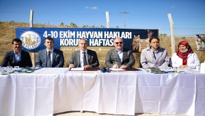 Sivas'ta barınaktan sahiplenilen hayvanların aşı ve bakımları ücretsiz yapılacak