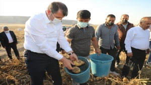 Sivas'ta tarım işçilerinin çocukları için çadır sınıflar oluşturulacak