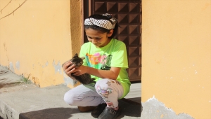 Sivas'ta yağmur suyu tahliye borusuna sıkışan kedi yavrusu kurtarıldı