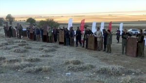 Yaban koyunlarında yarım asırlık emeğin meyveleri alınıyor