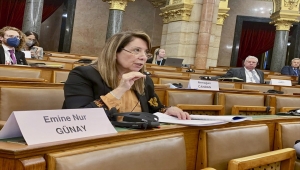 AKPM Üyesi Günay, Macaristan'da Siyasi İşler ve Demokrasi Komisyonu Toplantısı'na katıldı