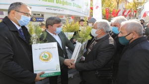 Aksaray'da 5 bin fidan toprakla buluşturuldu
