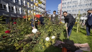Anadolu Ajansından Milli Ağaçlandırma Gününe destek 