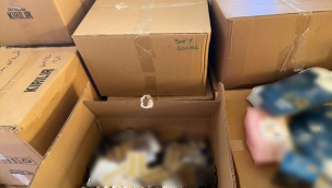 Ankara'da çok sayıda kaçak kozmetik ve sağlık ürünü ele geçirildi