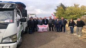 Ankara'nın Bala ilçesinde çiftçilere mercimek tohumu dağıtıldı