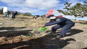 Bahşılı'da "Milli Ağaçlandırma Günü"nde fidanlar toprakla buluşturuldu