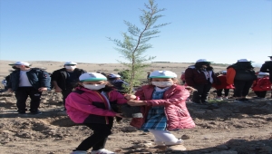 Beypazarı'nda fidanlar toprakla buluşturuldu