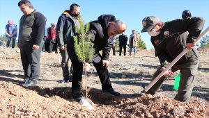 Beyşehir'de bin 500 fidan toprakla buluştu