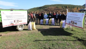 Eskişehir'deki atıl tarım arazileri tohumla buluşuyor