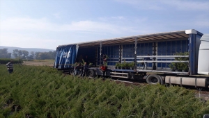 Eskişehir ve Afyonkarahisar'da "Milli Ağaçlandırma Seferberliği" kapsamında 125 bin fidan dikilecek