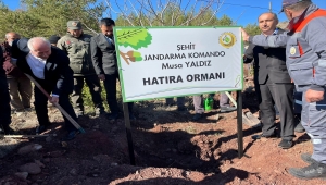 Güdül'de Şehit Jandarma Komando Musa Yıldız Hatıra Ormanı oluşturuldu