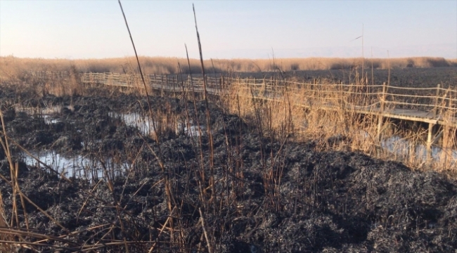 Kayseri'de Sultan Sazlığı Milli Parkı'nda çıkan yangın söndürüldü