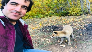 Halk Eğitim Müdürü aç tilkiyi eliyle besledi