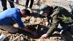 Hüyük'te 5 bin fidan ekildi