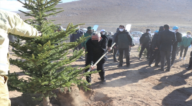 İç Anadolu'da "Milli Ağaçlandırma Günü"nde fidanlar toprakla buluşturuldu