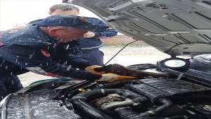 Isınmak için girdiği otomobilin motor bölümünde sıkışan köpek yavrusu kurtarıldı