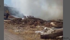 Kayseri Argıncık'ta çıkan yangında tomruklar zarar gördü (VİDEOLU HABER)