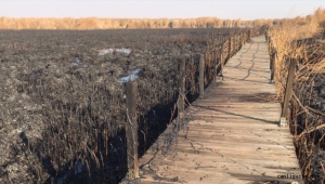 Kayseri Sultan Sazlığı Milli Parkı'nda yangın