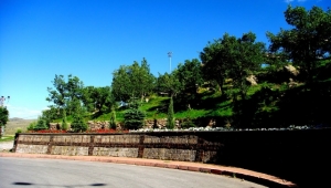 Kayseri Kıranardı Kent Ormanında intihar!