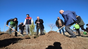 Kızılcahamam'da 2 bin 400 fidan toprakla buluşturuldu