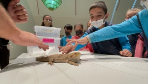 Öğrenciler Konya Tropikal Kelebek Bahçesi'nde egzotik hayvanlarla tanışıyor