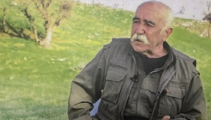 PKK, sözde kurucularından Kaytan'ın ölümünü gizlemek için infaz yöntemini kullandı