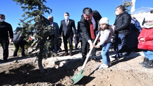 Pursaklar'da fidanlar toprakla buluşturuldu