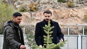 Saraykent'te 12 bin fidan toprakla buluşacak