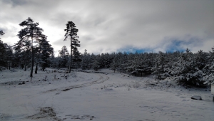 Sivas'ın yüksek kesimlerine kar yağdı