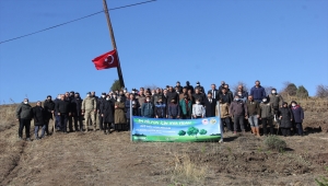 Sivas'ta "Milli Ağaçlandırma Günü"nde fidanlar toprakla buluşturuldu