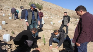 Sosyal medyadan organize olup 9 bin 500 fidanı toprakla buluşturdular 