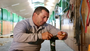 TİGEM'in şampiyon atlarına kariyerlerine yakışır bakım