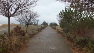 Ulaş Gölü sessizliğe büründü