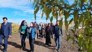 UNDP IFAD Türkiye Direktörlüğü heyeti, Bozkır'da incelemede bulundu