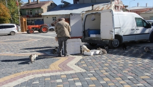 Yalıhüyük'te balıkçılık yapan vatandaş, balıklardan arta kalanlarla sokak hayvanlarını besliyor 