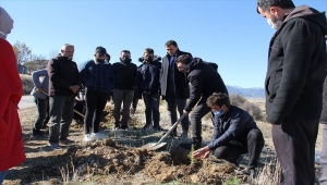 Yalıhüyük'te fidan dikme etkinliği