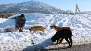 Beyşehir'de can dostlara besin desteği