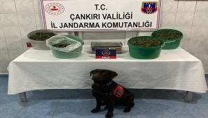 Çankırı'da kaçak içki ve uyuşturucu operasyonunda 6 kişi yakalandı