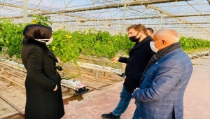 Çiçekdağı Kaymakamı Naçar jeotermal kaynaklı serayı inceledi