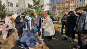 H.Ü Eğitim Fakültesi öğrencileri ve akademisyenleri, "sürdürülebilir kampüs" için ağaç dikti