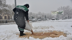 Karatay Belediyesi yiyecek bulmakta zorlanan sokak hayvanlarını unutmadı