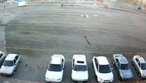 Kayseri Kocasinan'da 4 sokak köpeği bir çocuğa saldırdı (Videolu Haber)